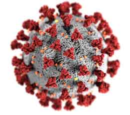 Free COVID-19 (Corona Virus) Vaccination