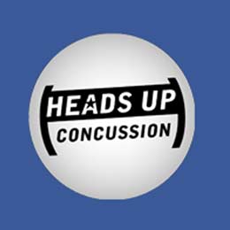 Heads Up Batter's Helmet Fact Sheet: PDF Download English